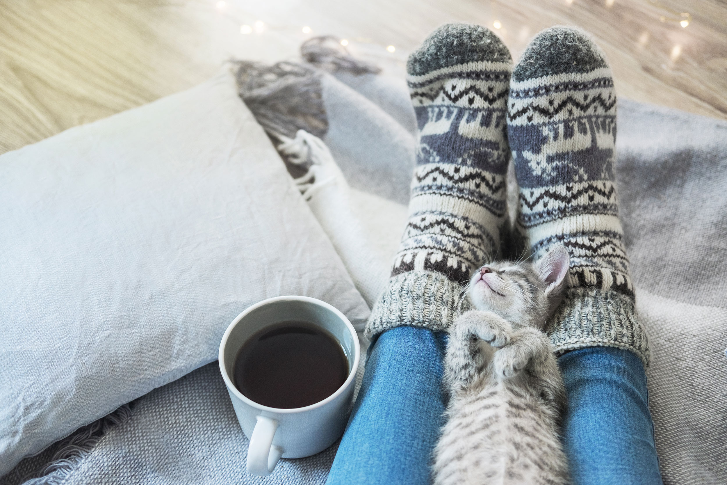Person with Coffee and Kitten Sleeping on Legs